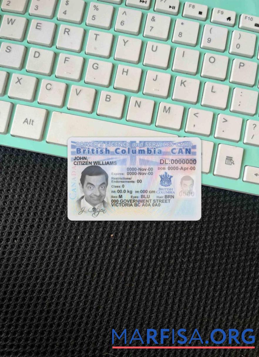 Realistic Canada province British Columbia driving license photolook example